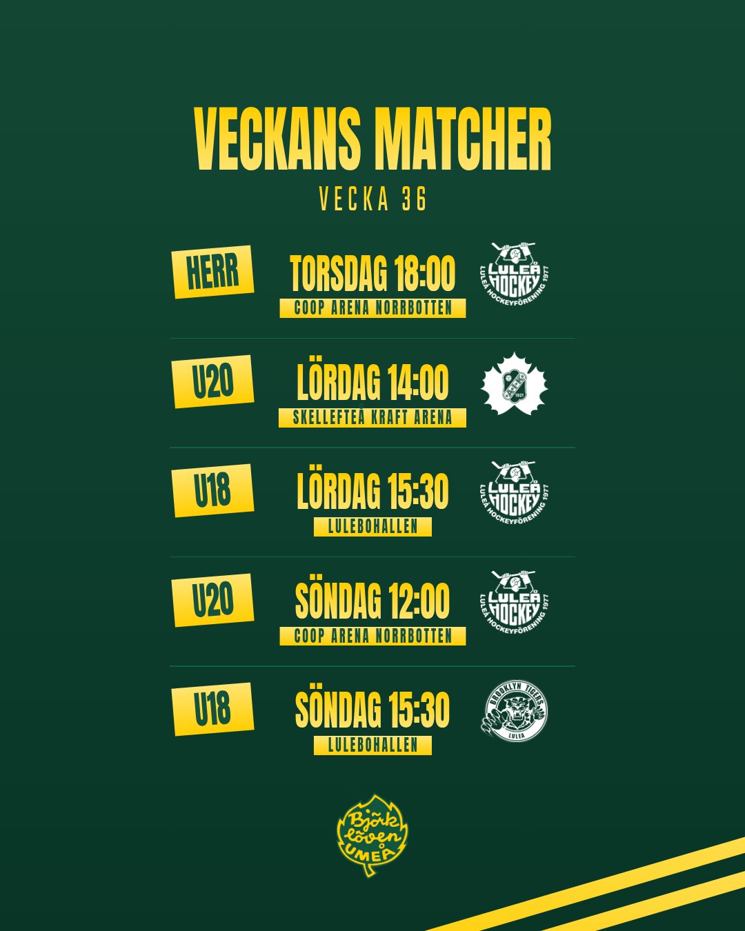 Björklöven Matcher 26/27 preview